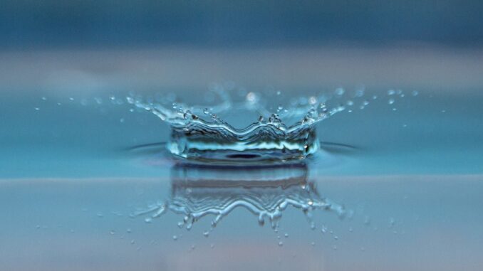 Blackrock, Fidelity Bitcoin ETFs Have a Liquidity Edge Over Grayscale: Author placeholder image