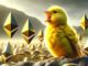 Ethereum Foundation Receives Confidential State Inquiry, Removes Warrant Canary Icon From Github Repo
