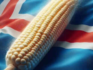 Iceland’s Prime Minister Vows to Prioritize Food Security Over Bitcoin