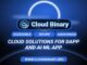 Revolutionizing Cloud Solutions: Introducing Cloud Binary Server