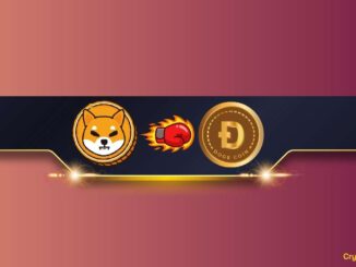 Shiba Inu (SHIB) Outperforms Dogecoin (DOGE) in This Key Metric: Details
