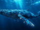Bitcoin whale possibly loses $238 million due to a suspicious transfer