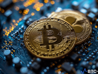 Bitwise registers an XRP ETF Trust in Delaware, marking the initial step towards an XRP ETF.