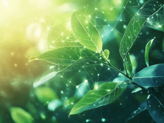 Mantra and Dimitra collaborate to tokenize farming and carbon projects using blockchain
