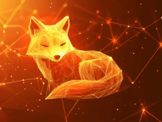 MetaMask browser wallet interface displaying Solana token support