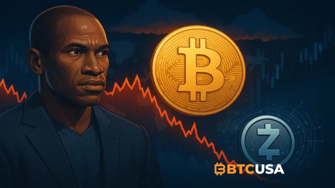 hayes_bitcoin_zcash Illustration of Bitcoin reacting to global liquidity cycles with a privacy theme highlighting Zcash